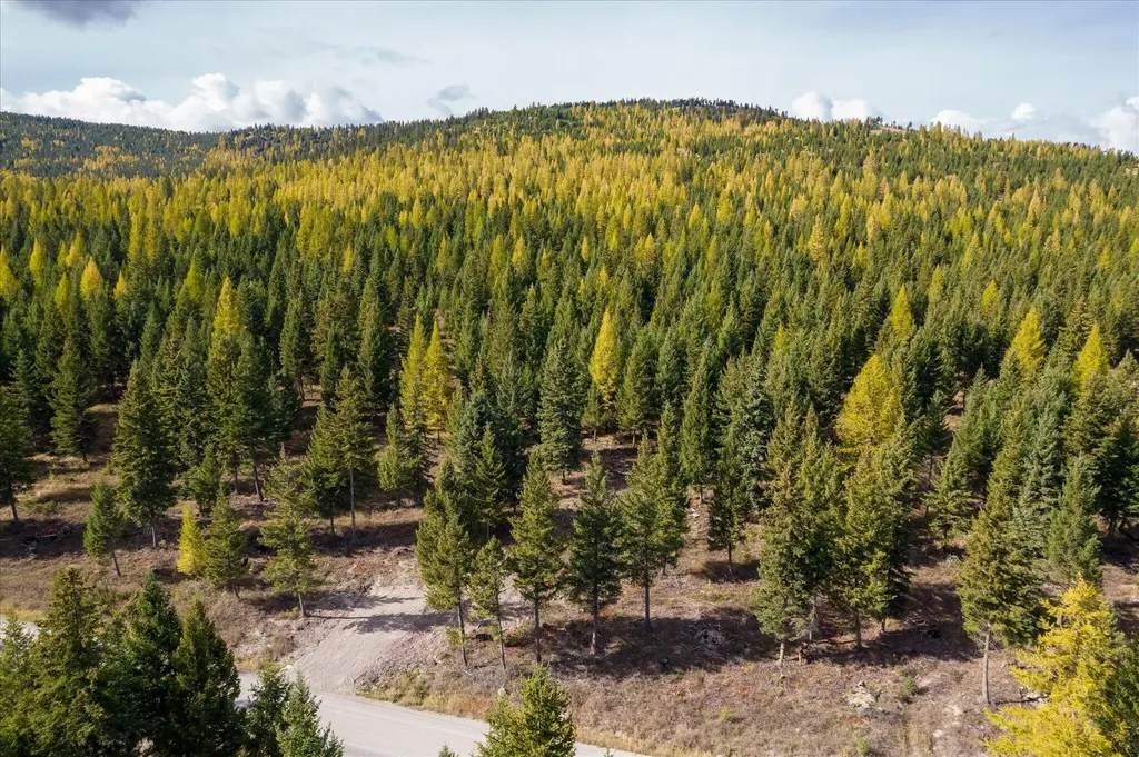 Lot 6a Wild Bill Road Kila MT 59920
