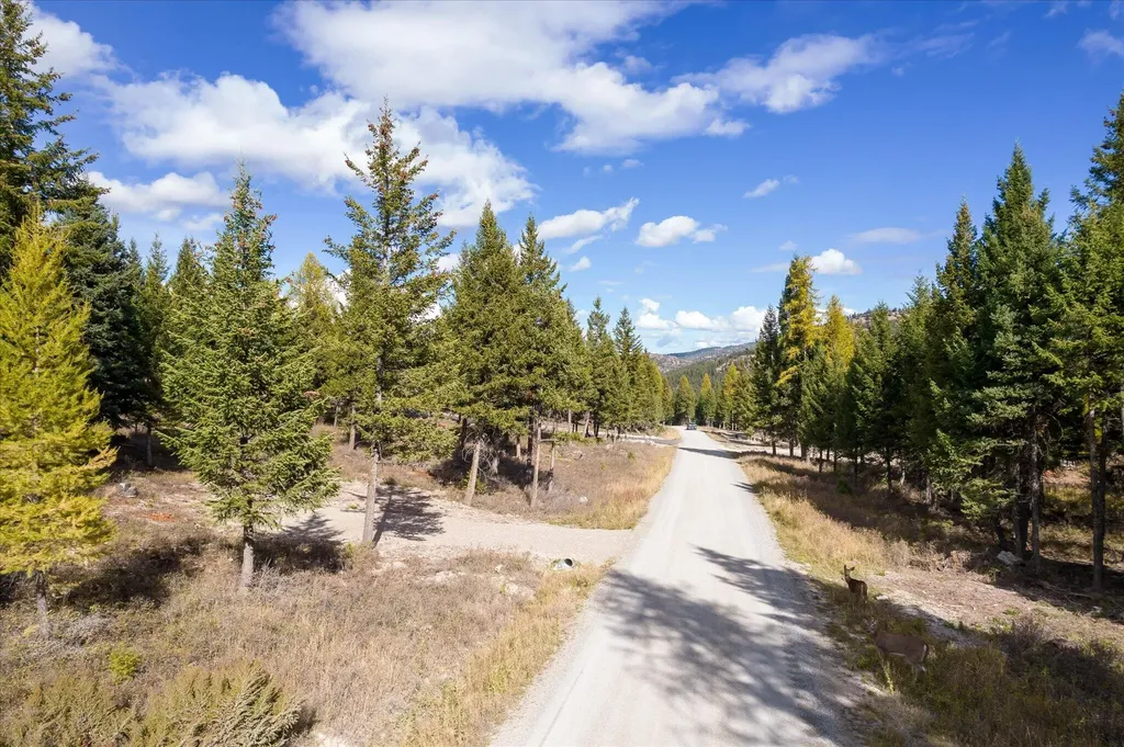 Lot 6a Wild Bill Road Kila MT 59920
