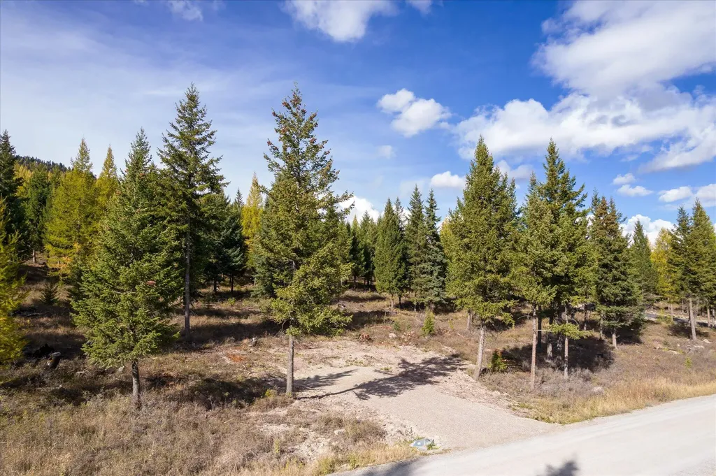 Lot 6a Wild Bill Road Kila MT 59920
