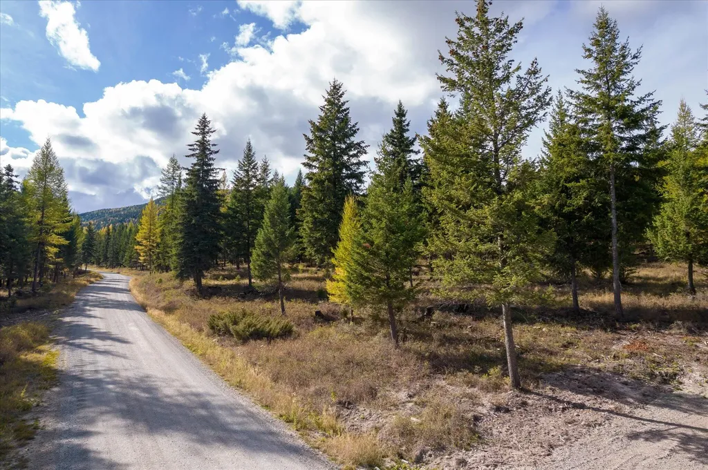 Lot 6a Wild Bill Road Kila MT 59920