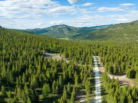 Lot 6A Wild Bill Road Kila MT 59920