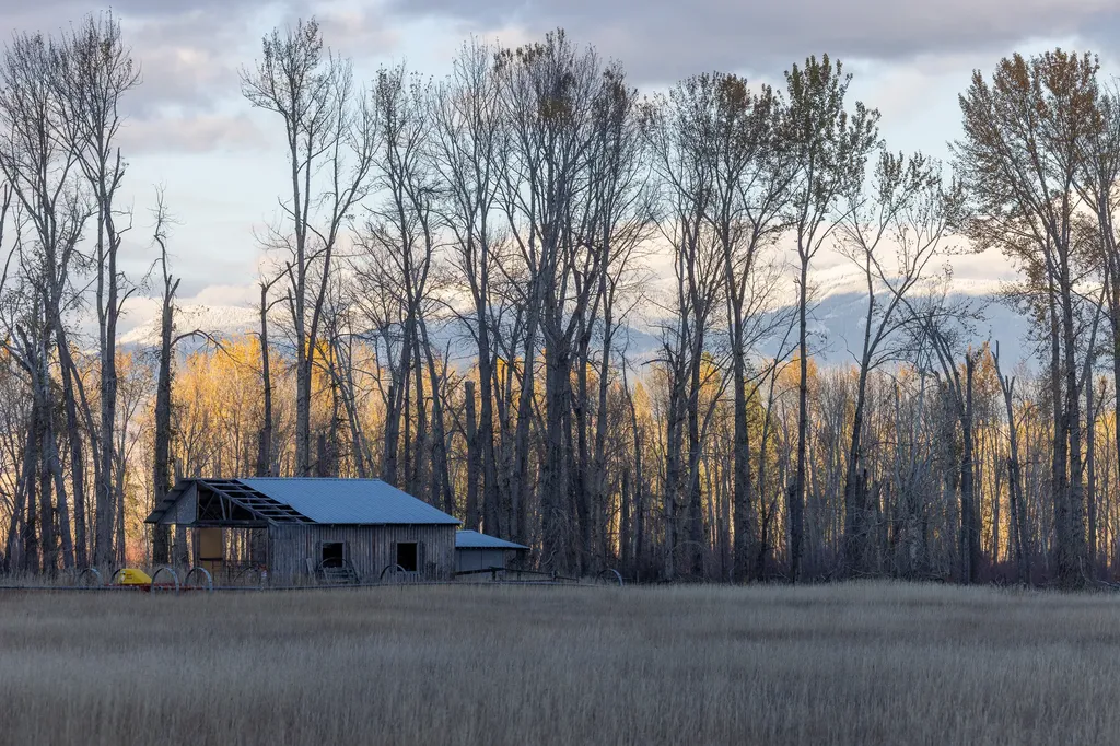 3690 Big Flat Road Missoula MT 59804