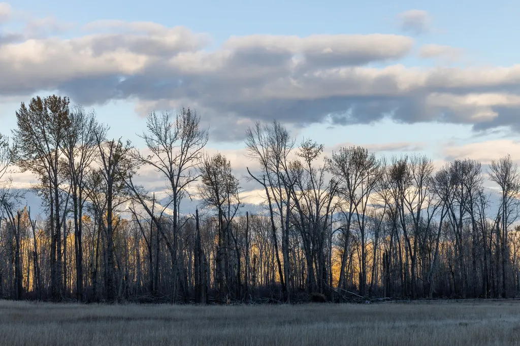 3690 Big Flat Road Missoula MT 59804
