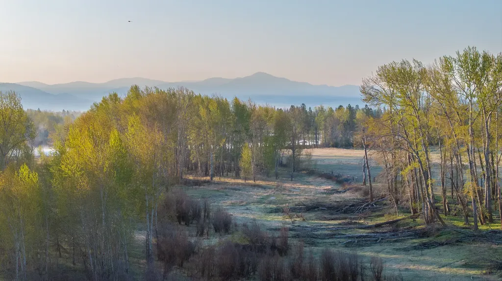 3690 Big Flat Road Missoula MT 59804