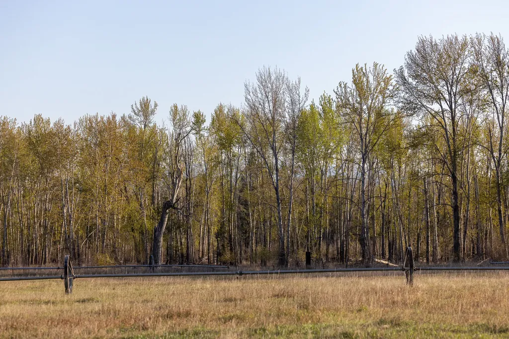 3690 Big Flat Road Missoula MT 59804