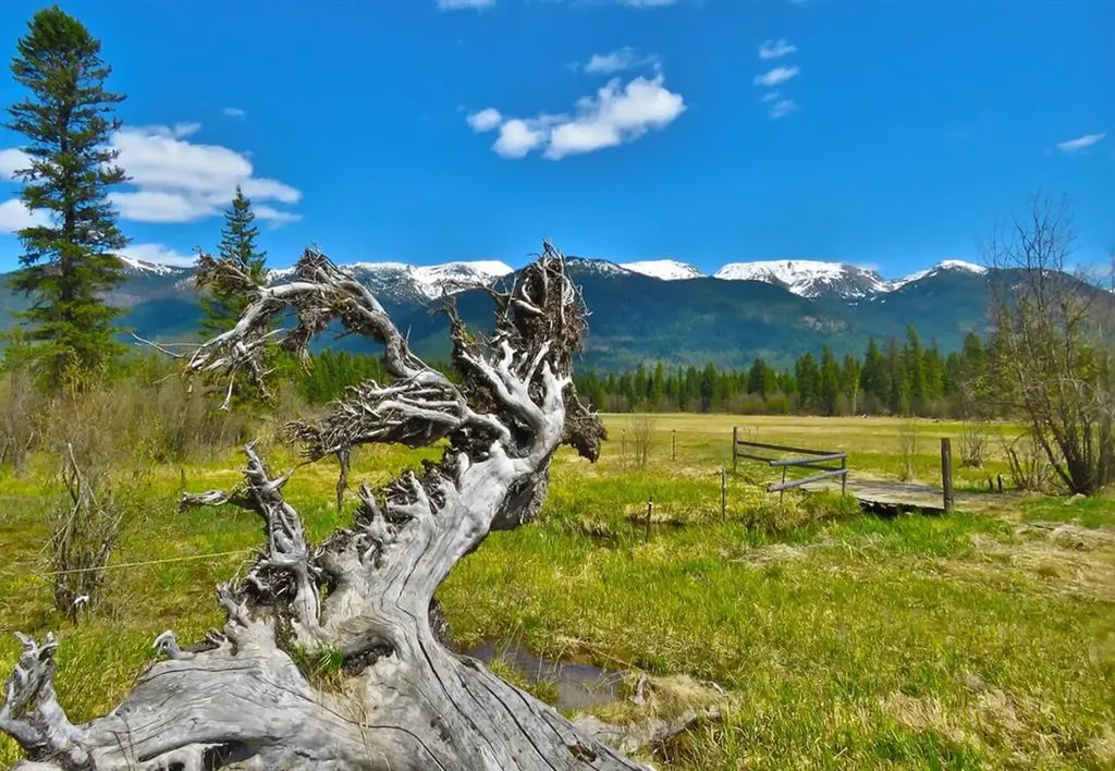 895 Mud Lake Road Bigfork MT 59911