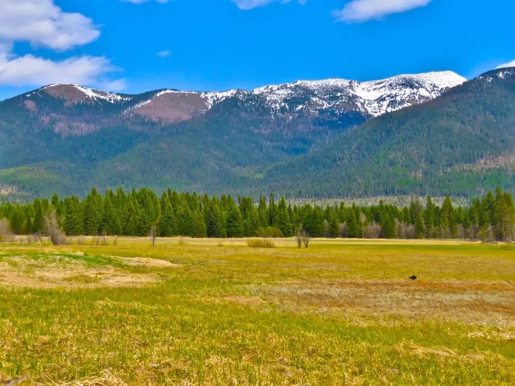 895 Mud Lake Road Bigfork MT 59911