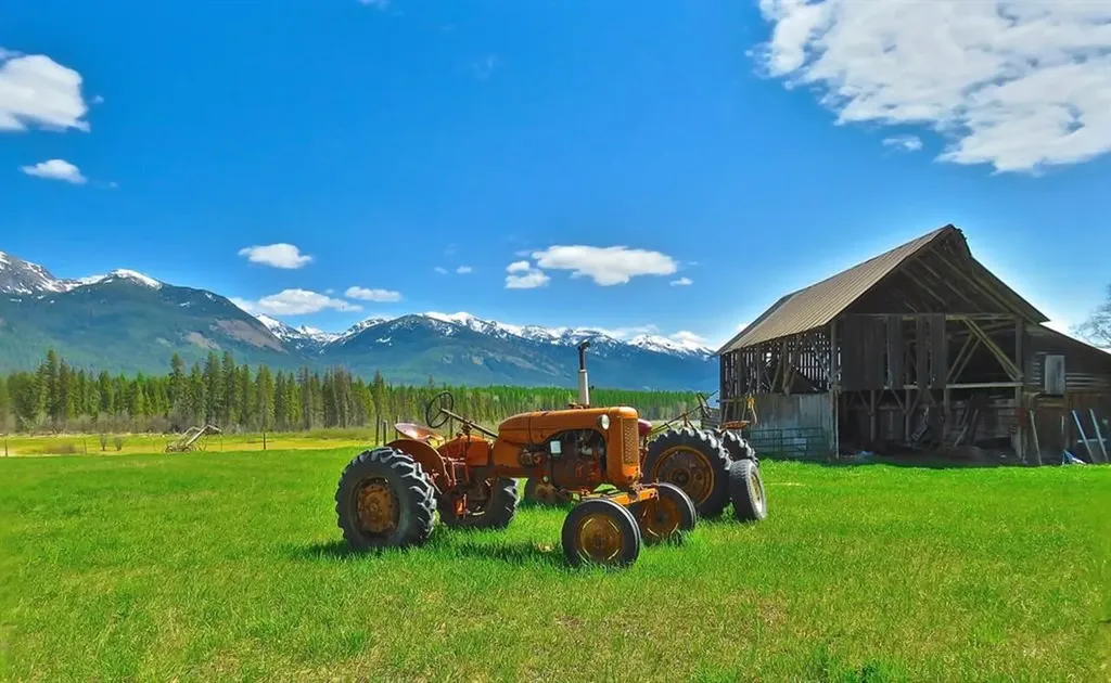895 Mud Lake Road Bigfork MT 59911