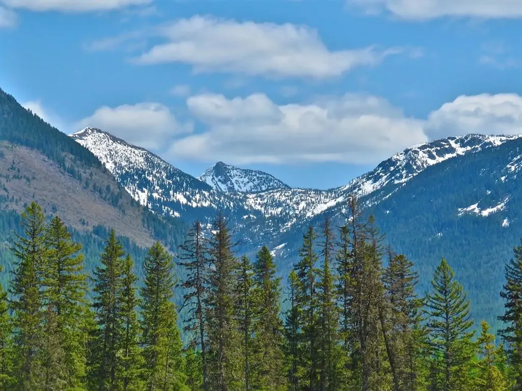 895 Mud Lake Road Bigfork MT 59911