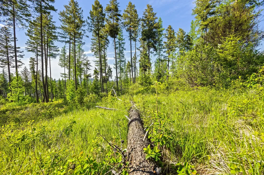 150 Trading Post Trail Bigfork MT 59911