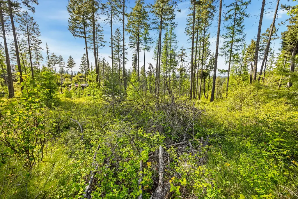 150 Trading Post Trail Bigfork MT 59911