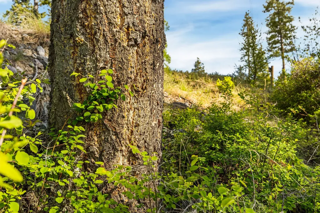 150 Trading Post Trail Bigfork MT 59911
