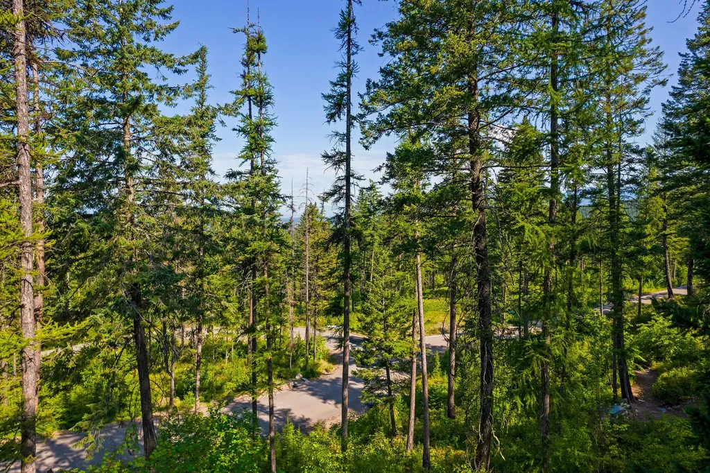 183 Pinto Trail Bigfork MT 59911