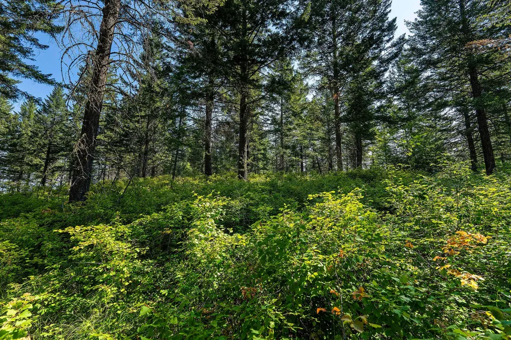 183 Pinto Trail Bigfork MT 59911