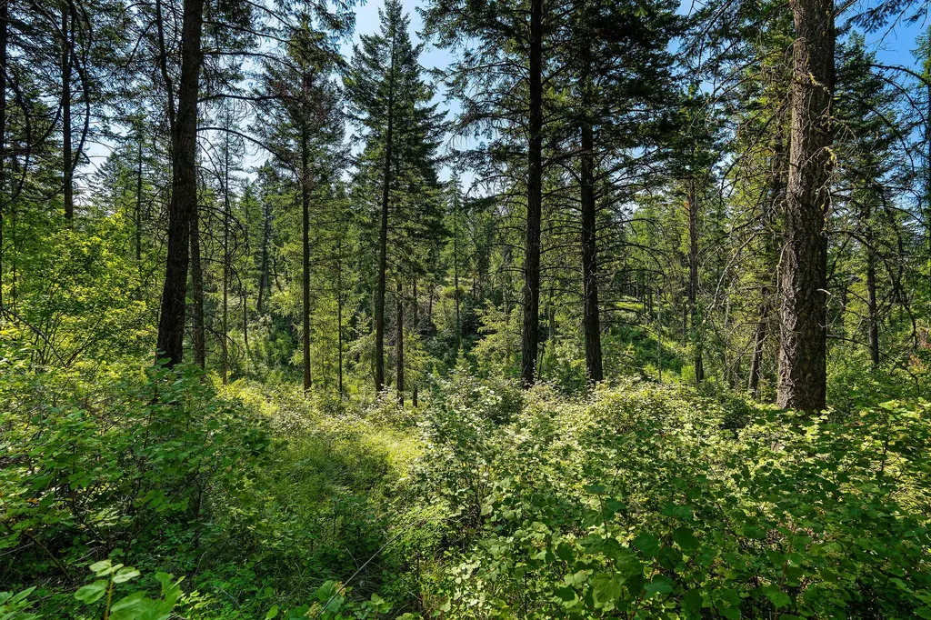 183 Pinto Trail Bigfork MT 59911