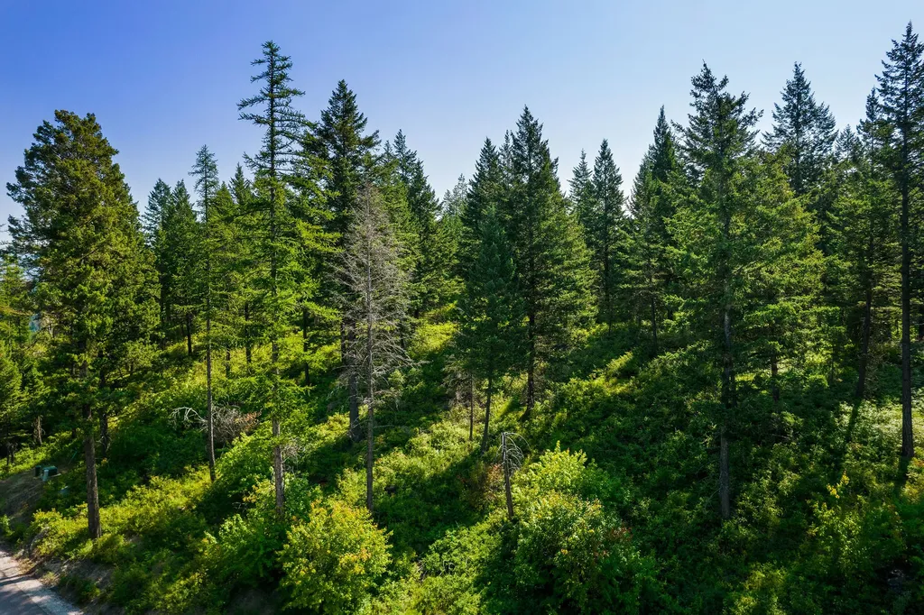 183 Pinto Trail Bigfork MT 59911