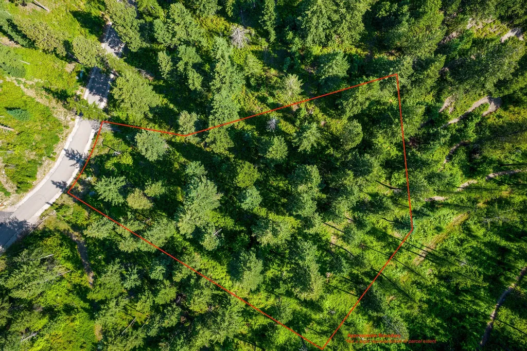 183 Pinto Trail Bigfork MT 59911