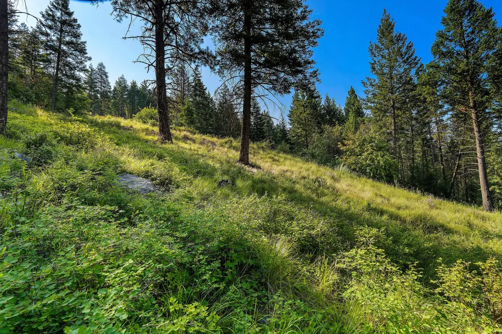 40 Bridle Court Bigfork MT 59911