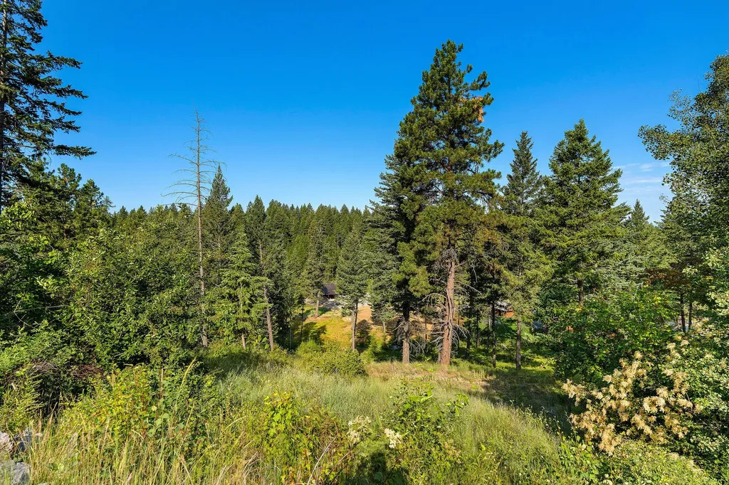 40 Bridle Court Bigfork MT 59911