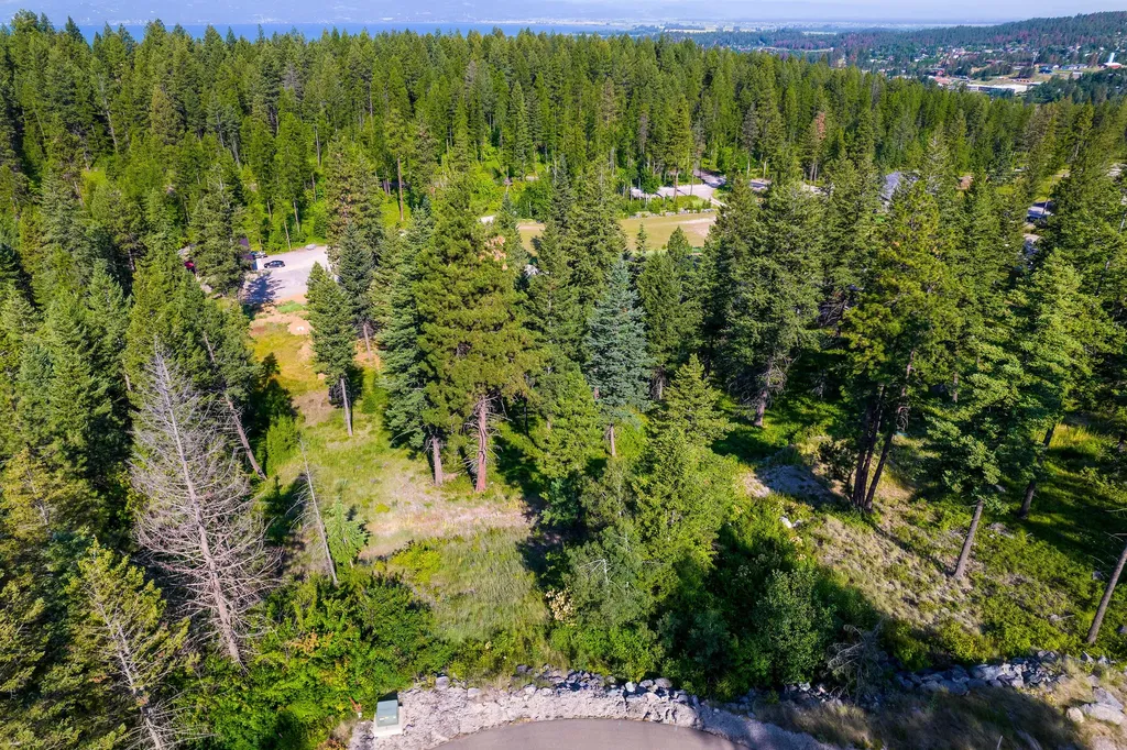 40 Bridle Court Bigfork MT 59911