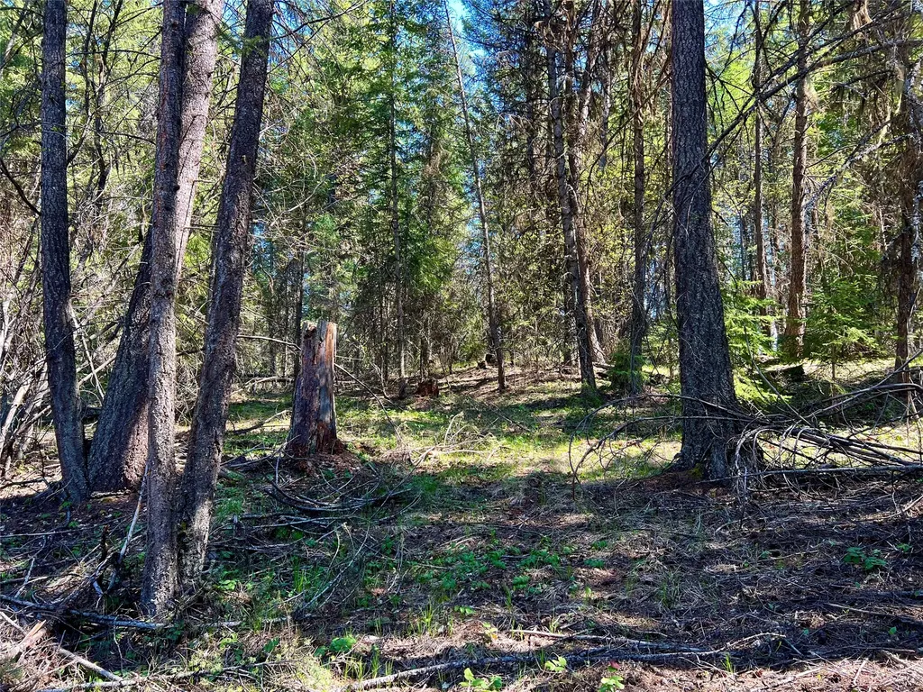 777 Meadow Creek Road Fortine MT 59918