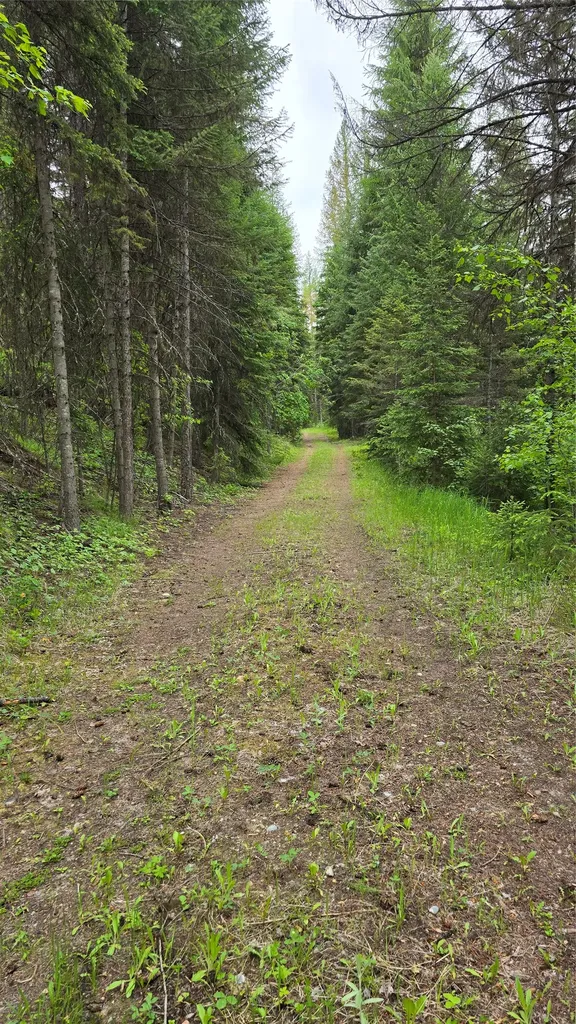 777 Meadow Creek Road Fortine MT 59918