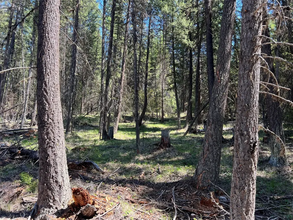 777 Meadow Creek Road Fortine MT 59918