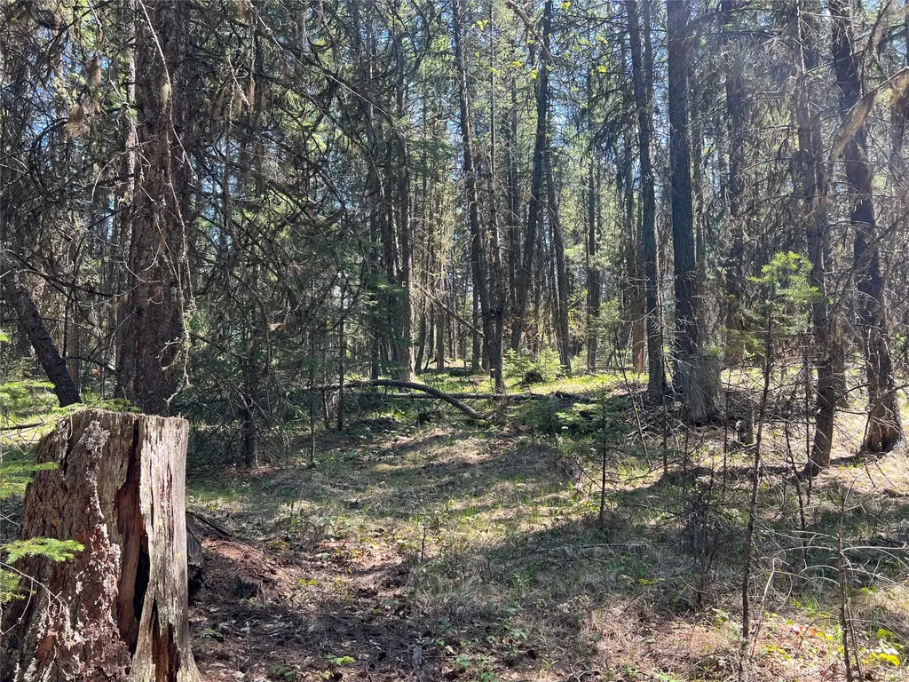 777 Meadow Creek Road Fortine MT 59918