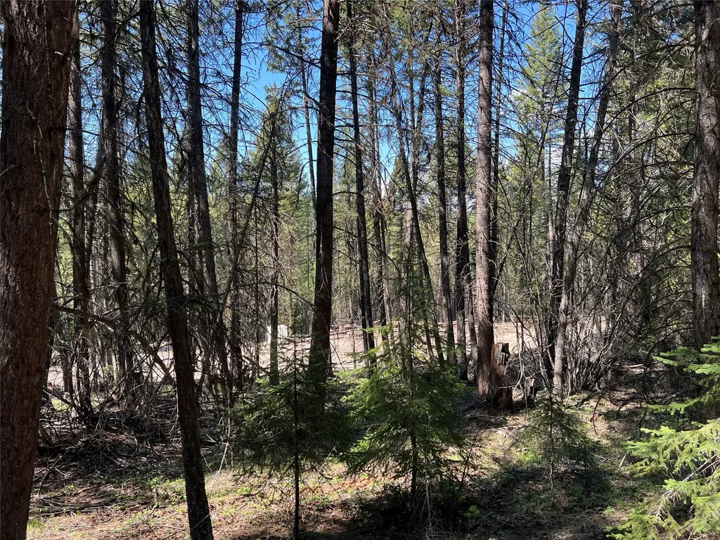 777 Meadow Creek Road Fortine MT 59918