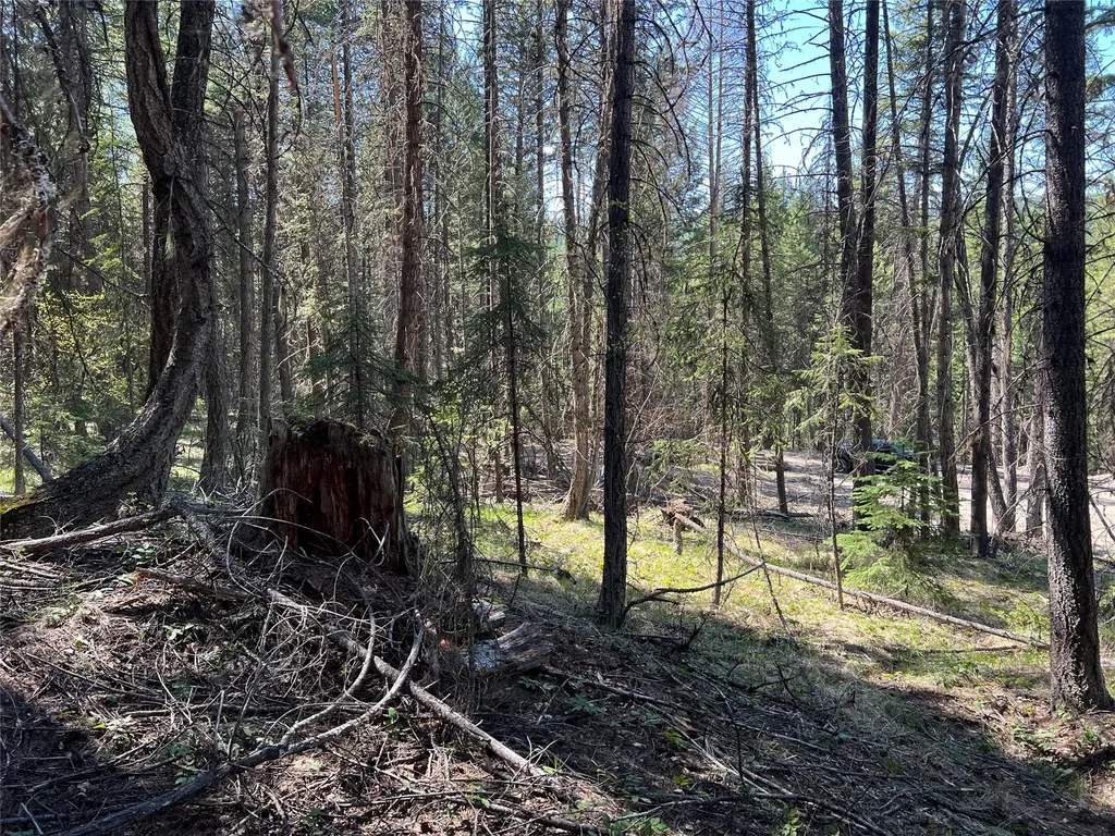 777 Meadow Creek Road Fortine MT 59918