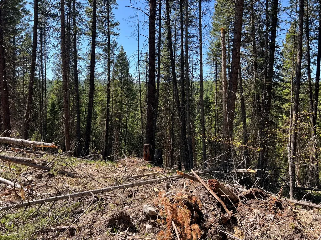 777 Meadow Creek Road Fortine MT 59918