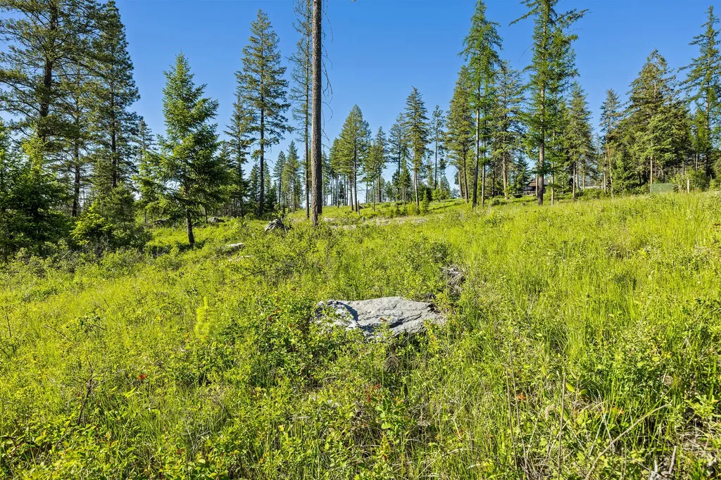 26 Trails End Court Bigfork MT 59911