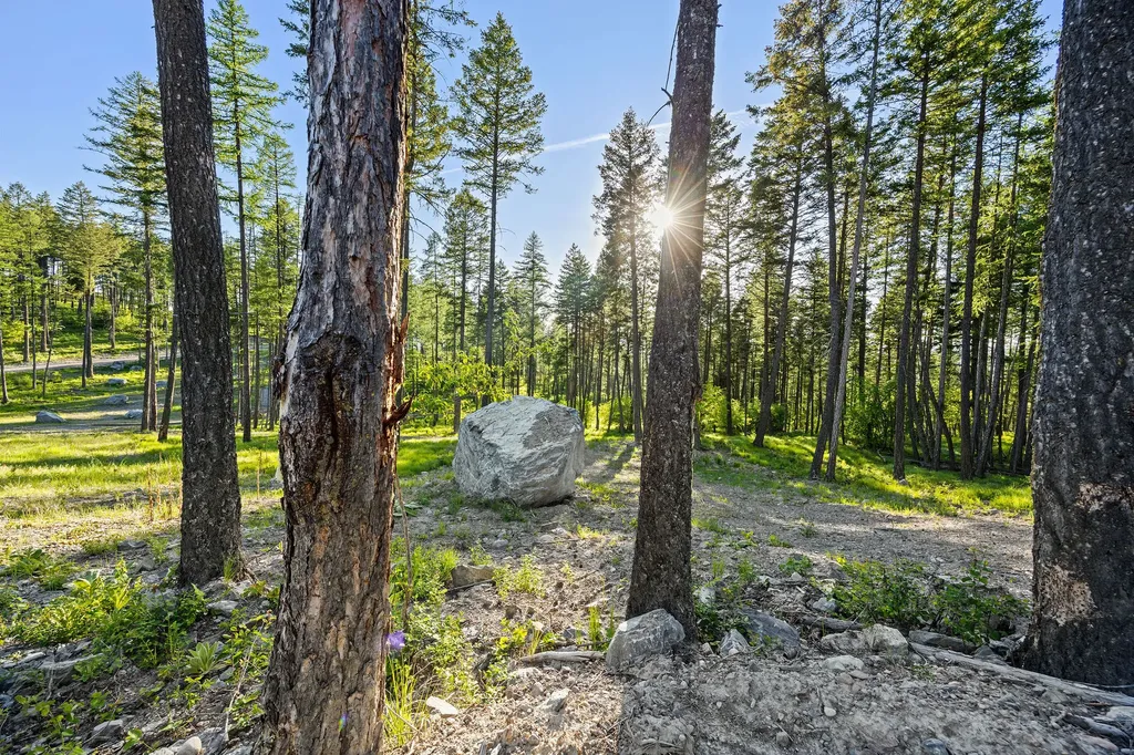 74 Trails End Court Bigfork MT 59911
