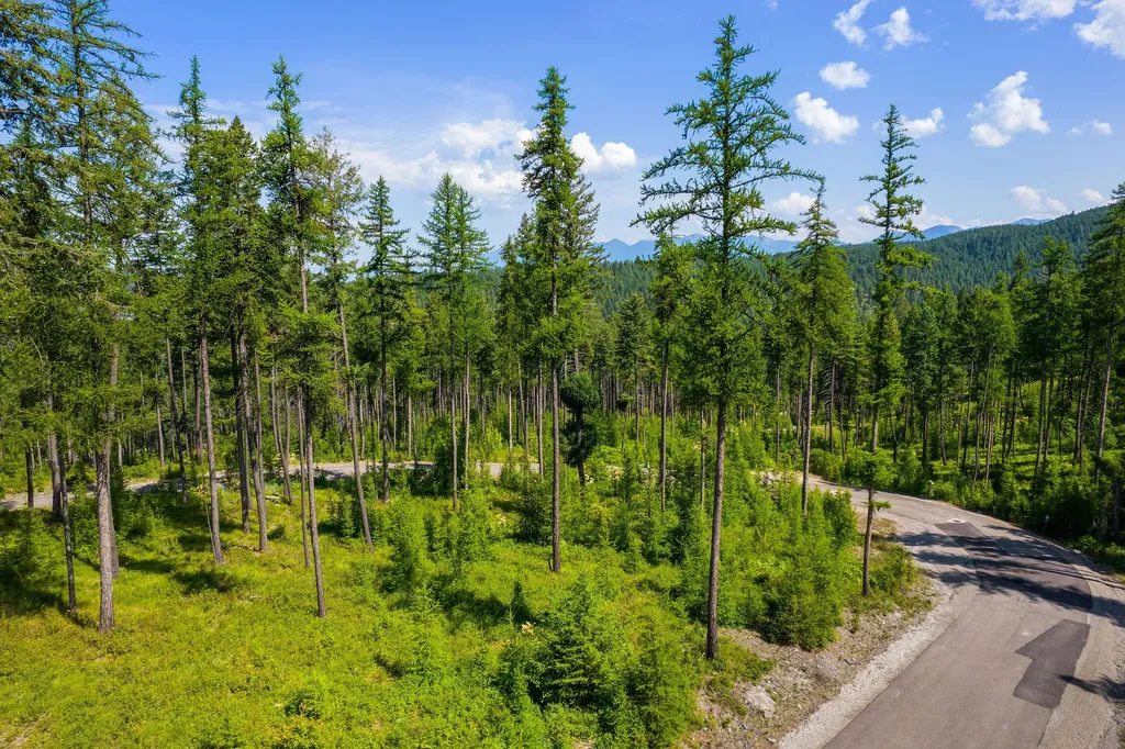 664 Saddlehorn Trail Bigfork MT 59911