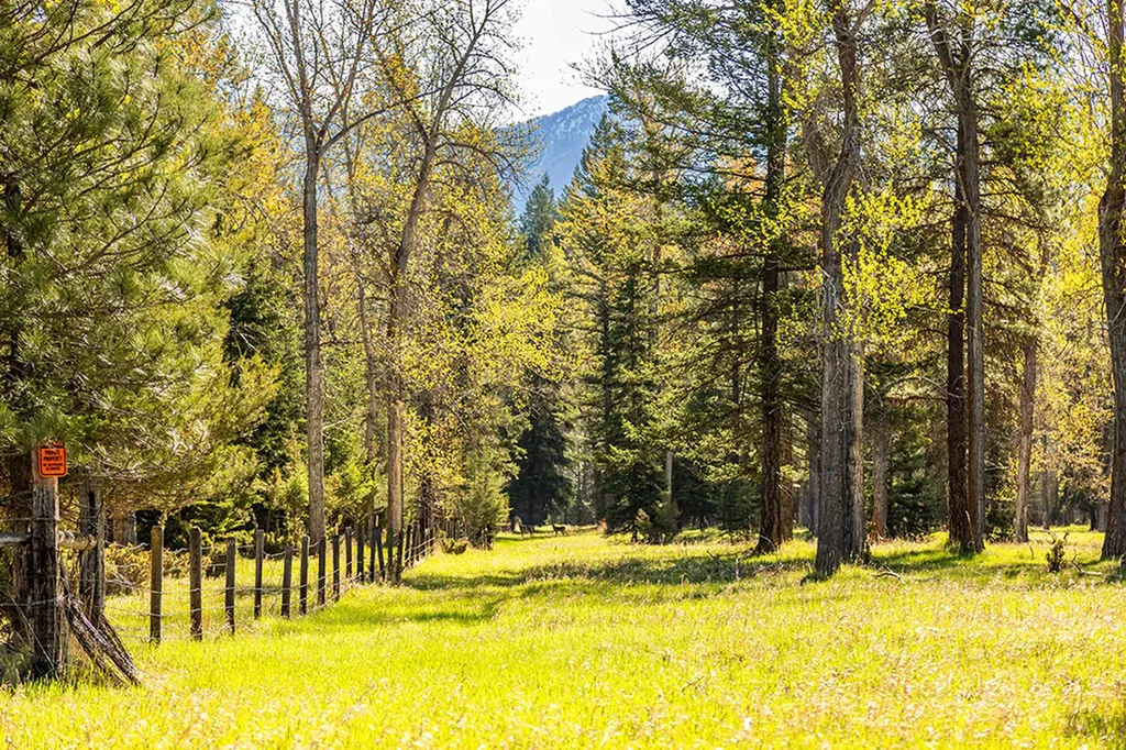 560 Windfield Lane Columbia Falls MT 59912