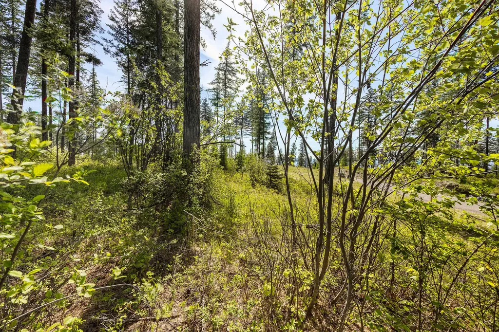 258 Trading Post Trail Bigfork MT 59911