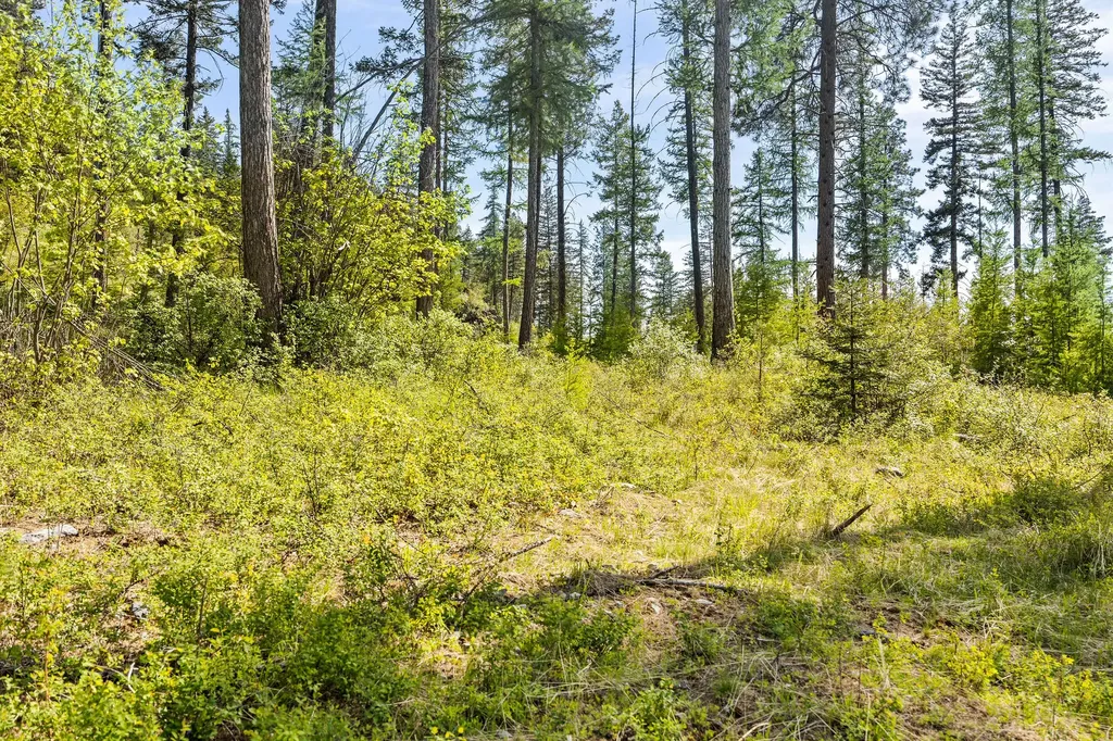 258 Trading Post Trail Bigfork MT 59911