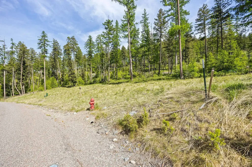 258 Trading Post Trail Bigfork MT 59911