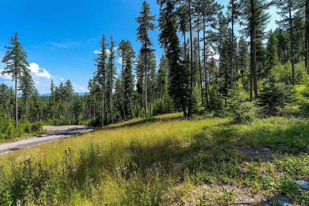 246 Trading Post Trail Bigfork MT 59911