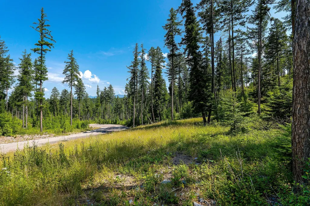 246 Trading Post Trail Bigfork MT 59911