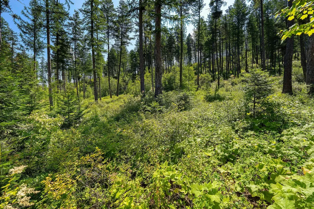 246 Trading Post Trail Bigfork MT 59911