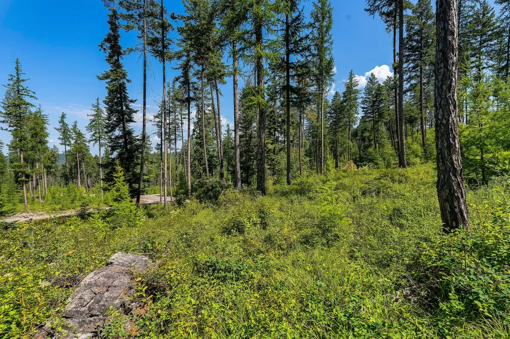 246 Trading Post Trail Bigfork MT 59911