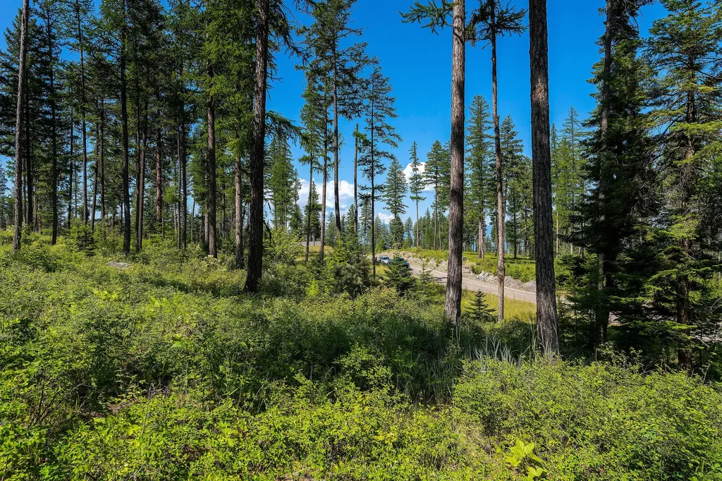 246 Trading Post Trail Bigfork MT 59911