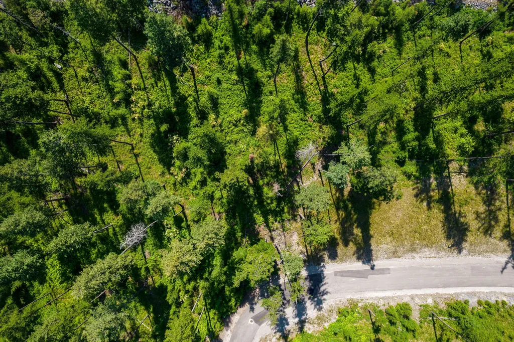 246 Trading Post Trail Bigfork MT 59911