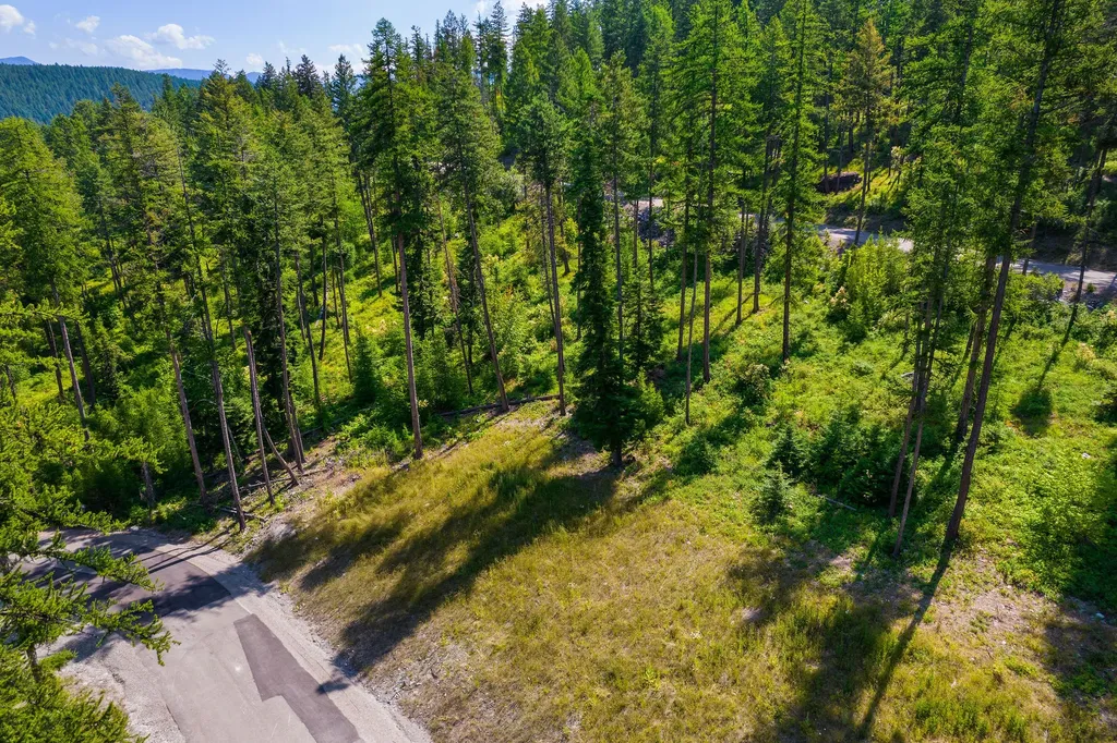 246 Trading Post Trail Bigfork MT 59911