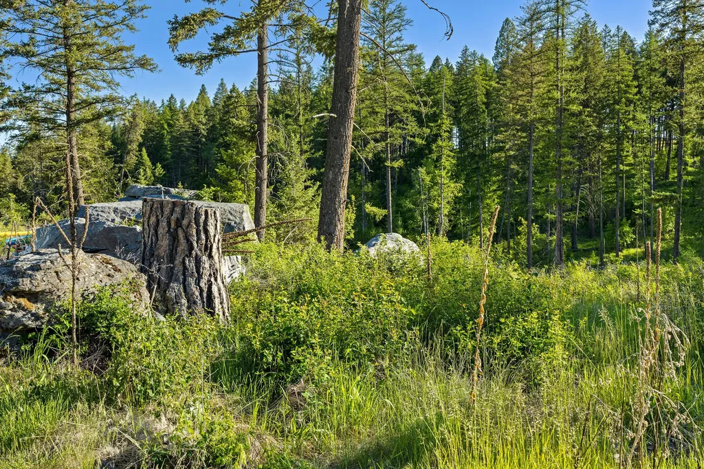 50 Trails End Court Bigfork MT 59911