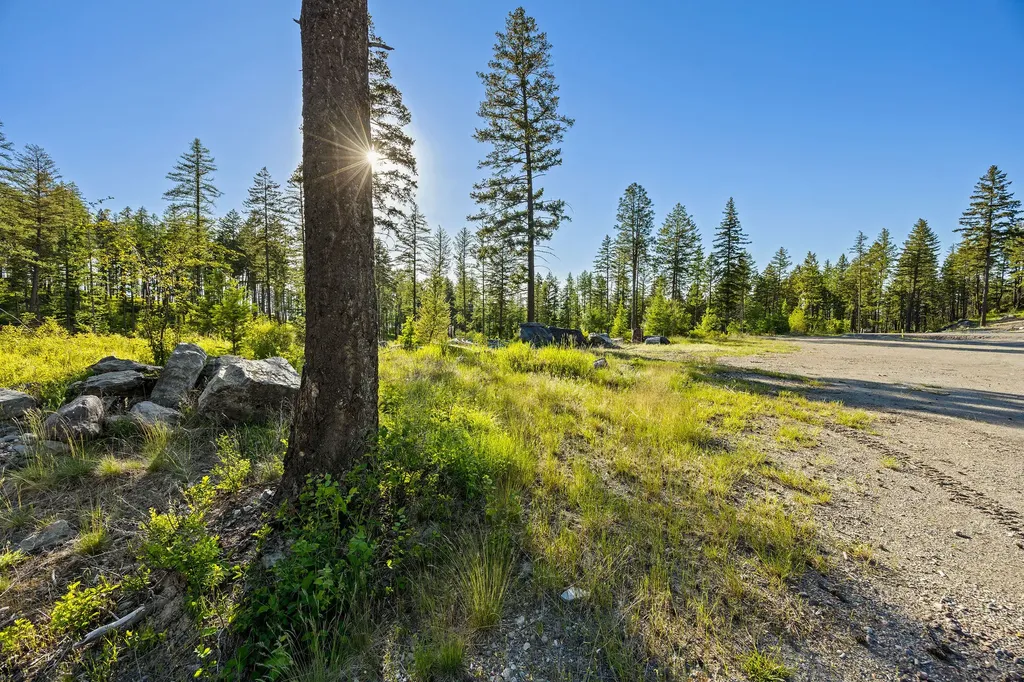 50 Trails End Court Bigfork MT 59911