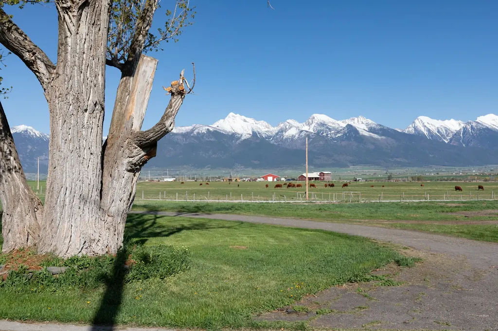 37521 Dublin Gulch Road St Ignatius MT 59865