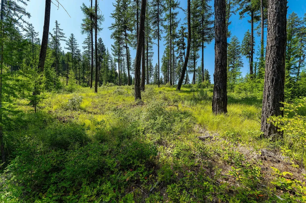 205 Trading Post Trail Bigfork MT 59911