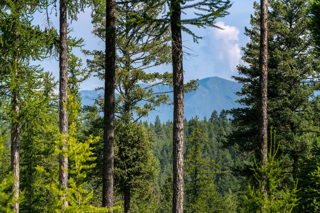 205 Trading Post Trail Bigfork MT 59911